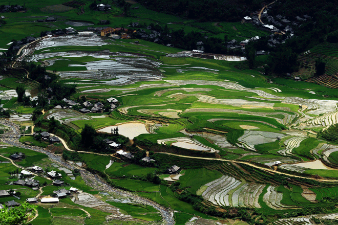 Charming terraced fields in mountainous district